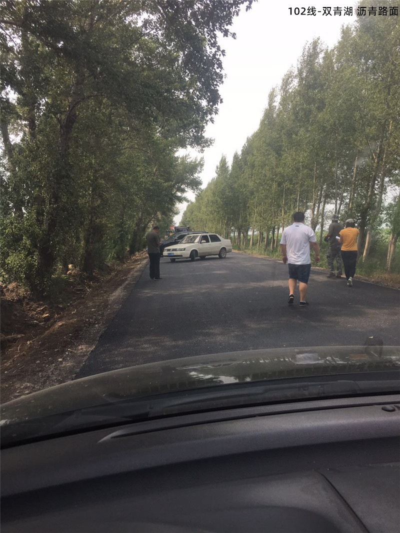 102線-雙青湖 瀝青路面